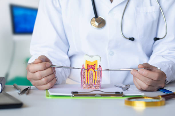 Best Emergency Root Canal Therapy in Columbia, CA